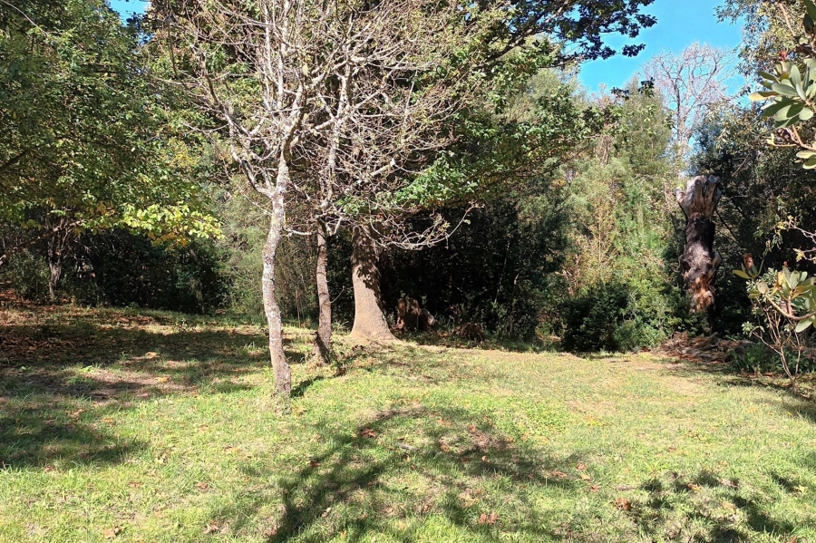 3 Bedroom Property for Sale in Hogsback Eastern Cape